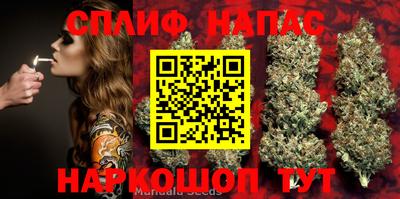гашиш Дмитров
