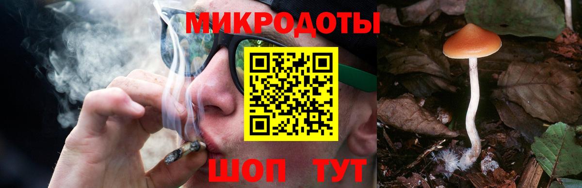 Псилоцибиновые грибы ЛСД  Псилоцибиновые грибы ЛСД  Горячий Ключ  Вход с VPN 